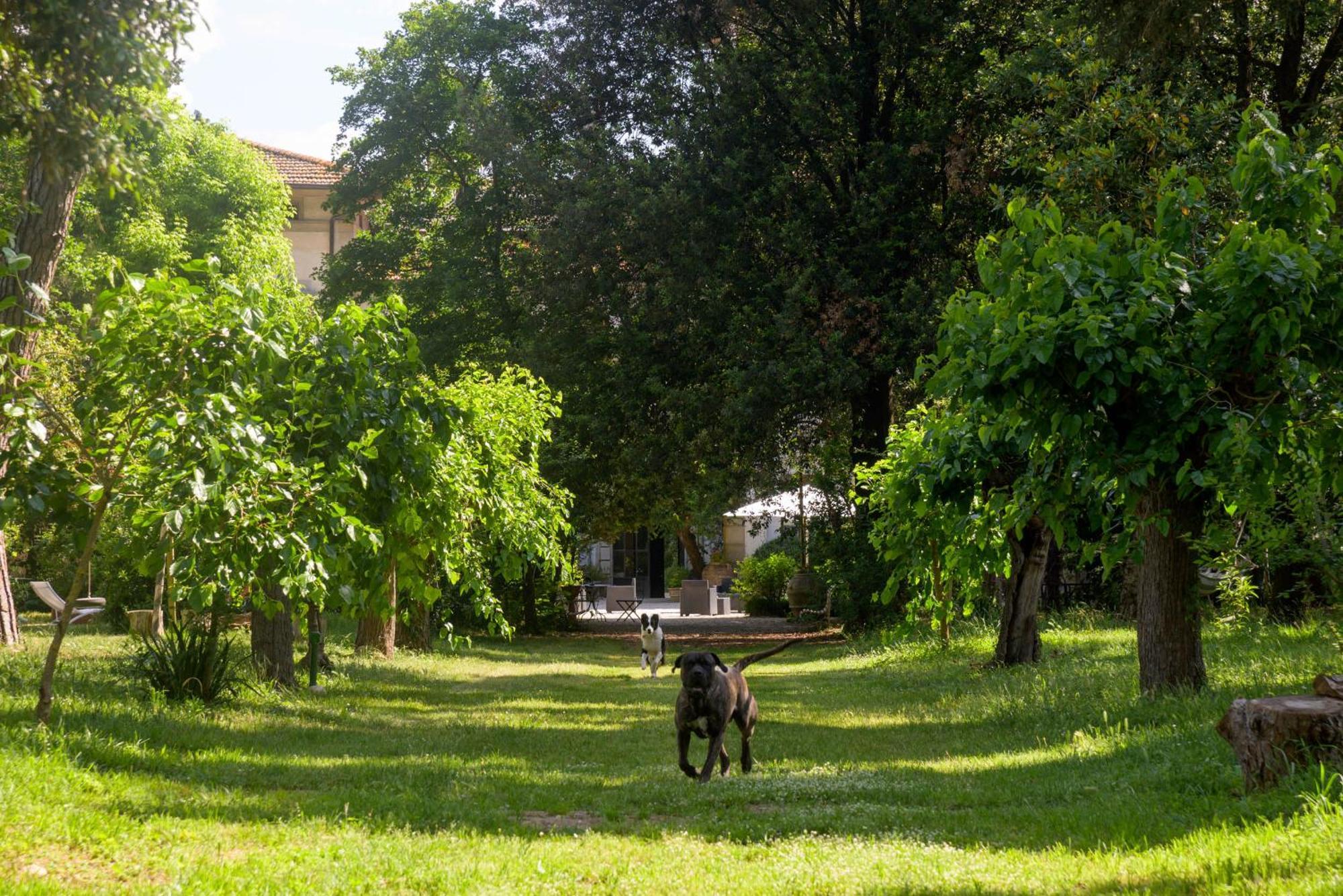 La Dimora Dell'Artista Hotel Perugia Luaran gambar